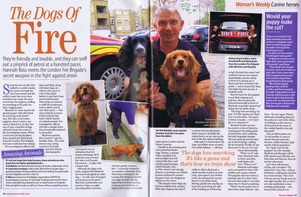 Dogs of Fire WW